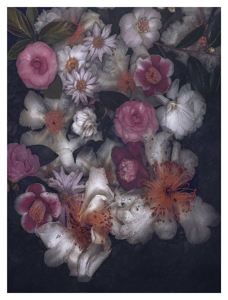 Collection botanique d'automne par Marina de Wit