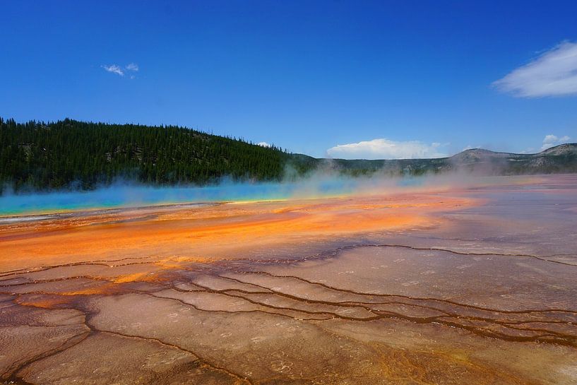 Colourful Hot Spring in Yellowstone National Park by Thomas Zacharias