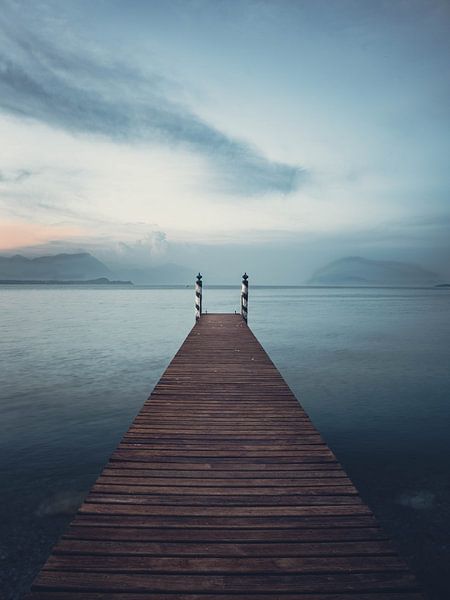 Der Teich von SJ Media