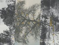 Wunder der Landschaft