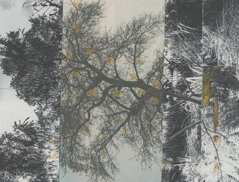 Wunder der Landschaft von MFG Art