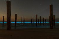 Meeresfunken bei Palendorp Petten