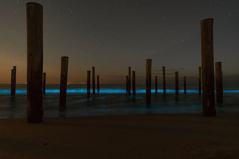 Meeresfunken bei Palendorp Petten von Sjoukje Kunnen
