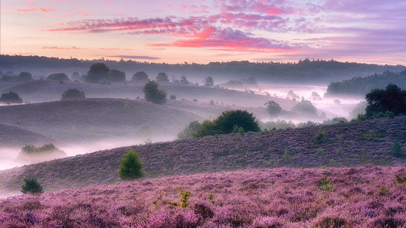 Posbank by Photo Wall Decoration