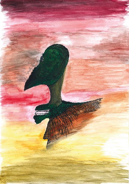 Pélican par Wouter Springer