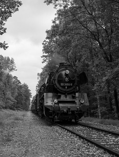 Steam train on the track by Michel Knikker