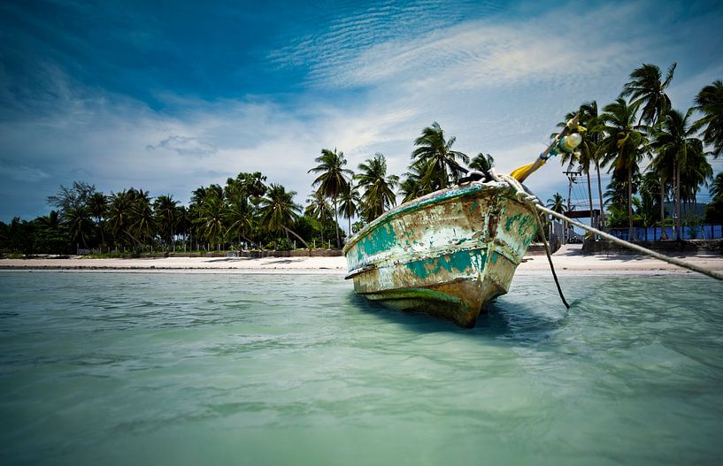 Sommerlaune von Rene scheuneman