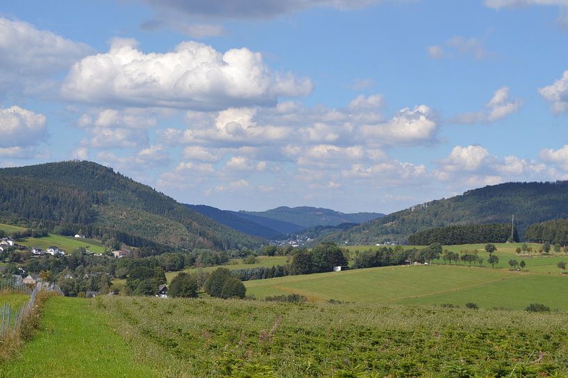 Winterberg, hiking over the Eggekopf by Bernard van Zwol