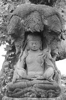 boeddha zwart wit 