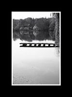 Footbridge and houses in black and white