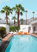 L'humeur de Palm Springs
