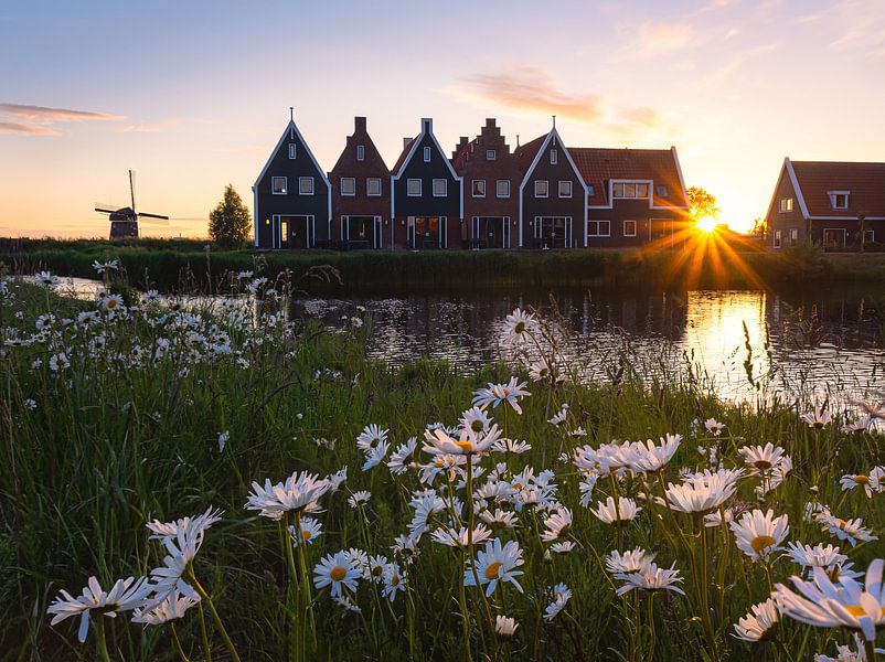 Fühlt sich an wie Sommer! von Arnoud van de Weerd