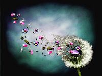 Farben des Windes, Löwenzahn mit bunten Blumen