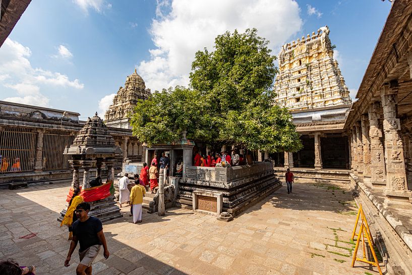 The holy mango tree in the Ekambareswarar Temple, Kanchipuram by Martijn