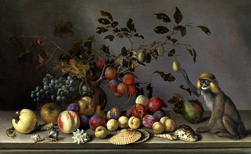 Balthasar van der Ast,Stilleben mit Obst, Muscheln und Affe von finemasterpiece