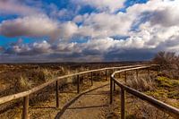 La zone des dunes de Meijendel