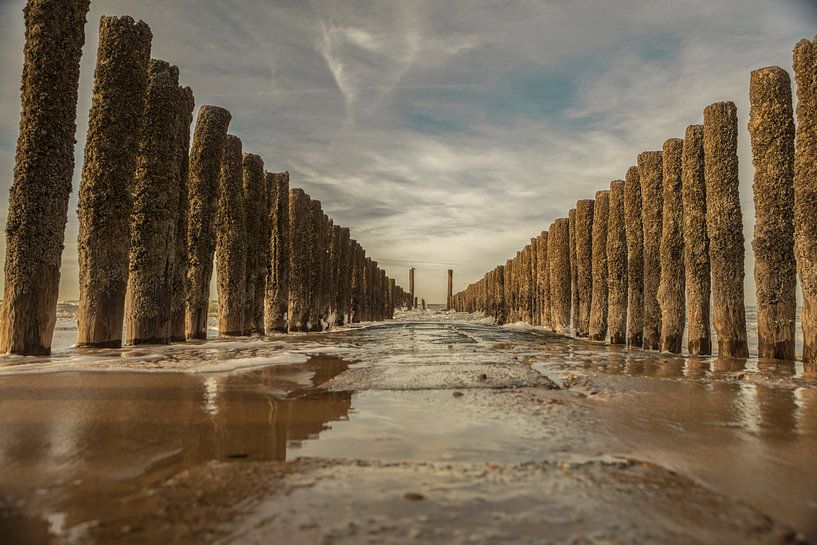 groynes fantastiques en zeeland par anne droogsma
