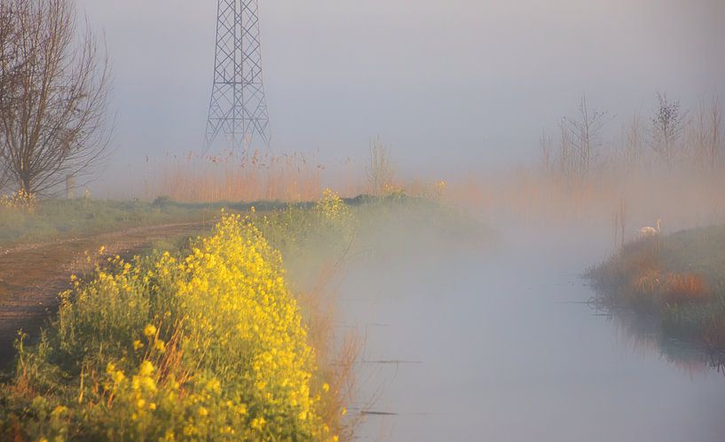 Frühlingsnebel von natascha verbij