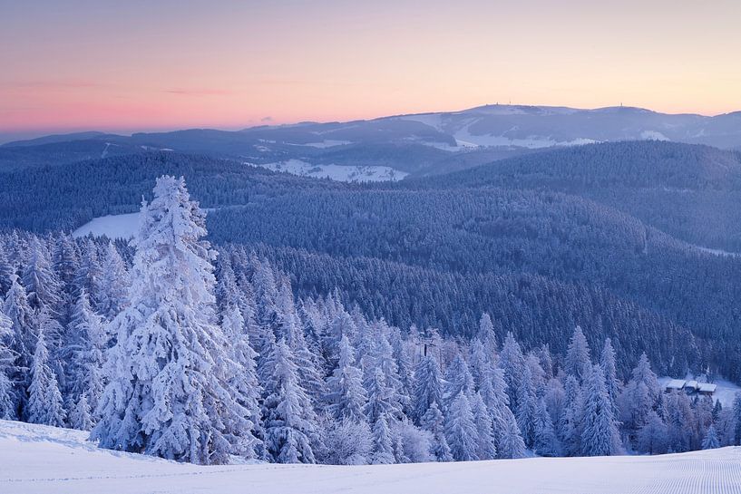 Winter landscape at the Belchen at sunrise in the Black Forest by Markus Lange