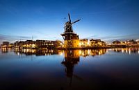 Die Adriaan in Haarlem