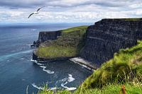 Die Cliffs of Moher
