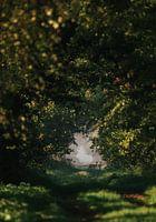 Going to another dimension