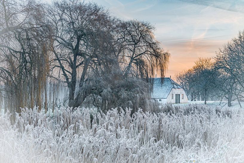 L'hiver dans la Betuwe par Chris Biesheuvel I  Dream Scapes