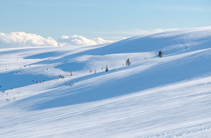 Hilly winter landscape by Leo Schindzielorz
