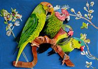 Sittiche, die miteinander reden