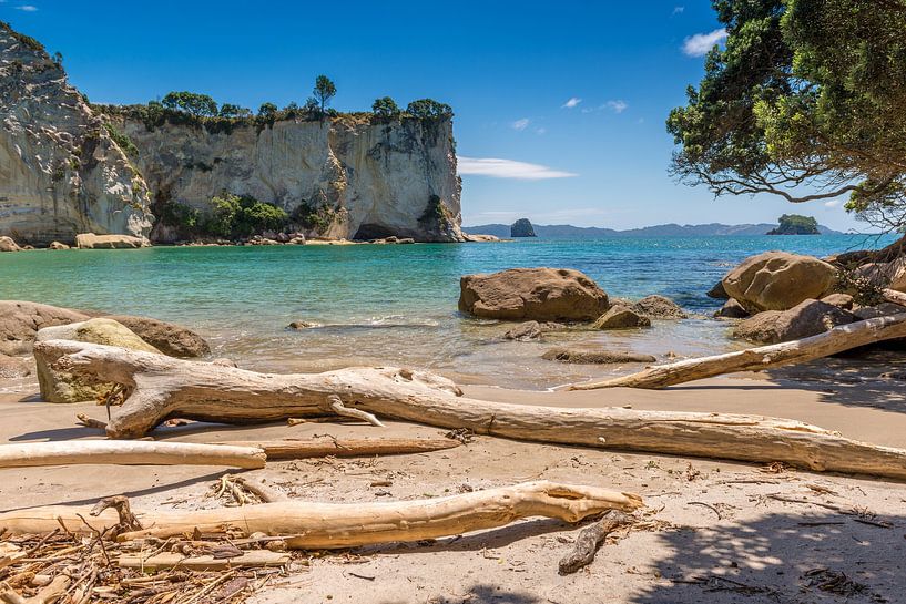Beach Stingray Bay, Coromandel, New Zealand by Troy Wegman