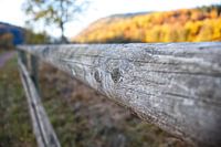 Old fence