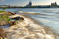 Cologne on the Rhine