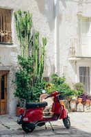 Straße mit Vespa in Monopoli, Apulien, Italien