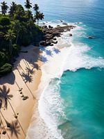 Plage de palmiers tropicaux V2