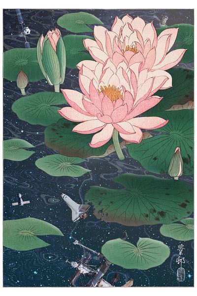 Water Lilies von Jonas Loose