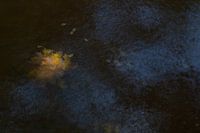 Herbstblätter im Bach