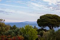 Landscape in the Algarve, Portugal