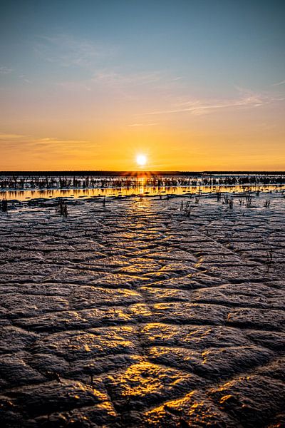 Les vasières par Johan Mooibroek