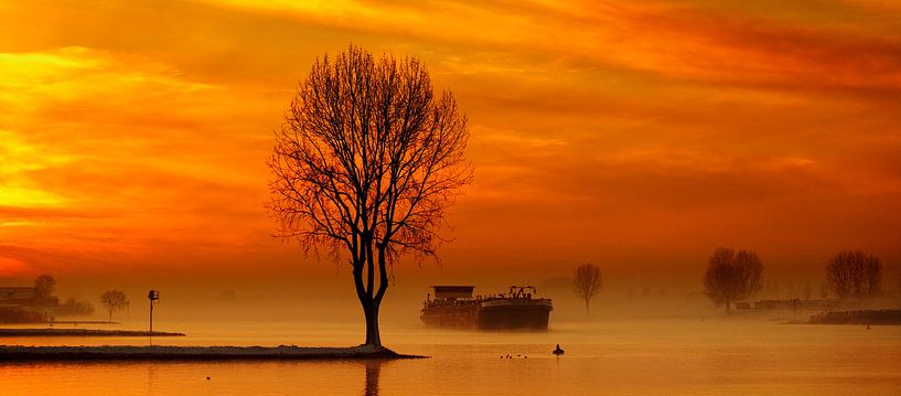 der Lek von Hennie Marks