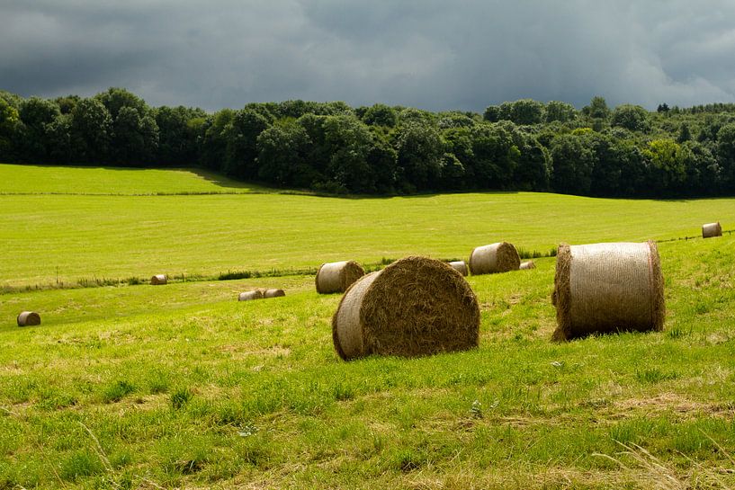 Limburgs landschap - 2 von Arnoud Kunst