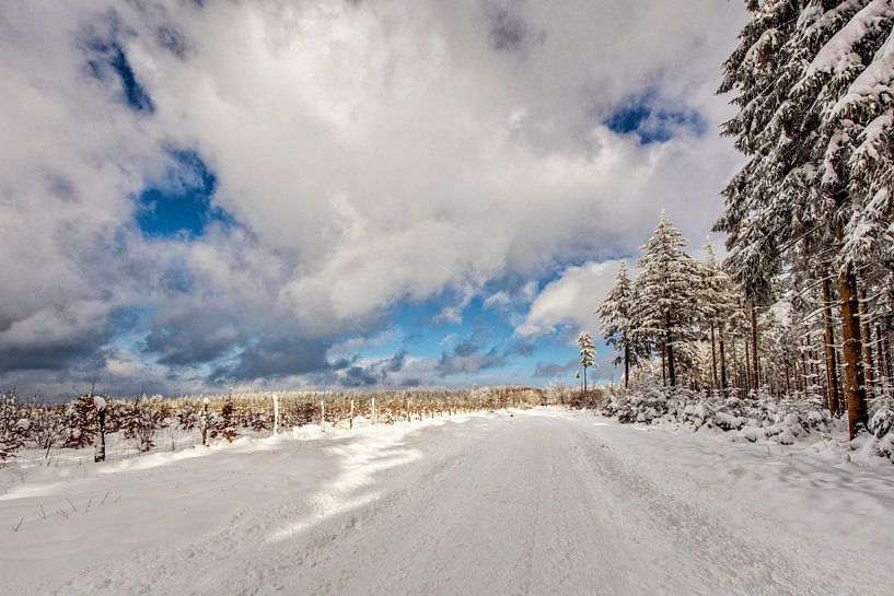 Botrange von Rob Boon