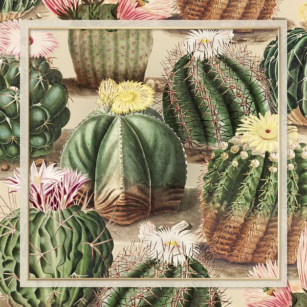 Le Collage de Cactus Vintage by Marja van den Hurk