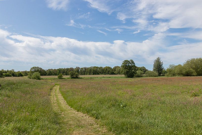 Groningen et Drenthe Veenkoloniën par Johan Mooibroek
