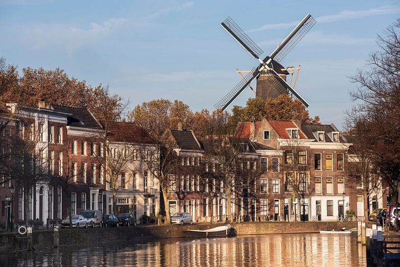 Schiedam, Lange Haven mit Windmühle de Walvis von Jan Sluijter