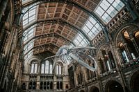 Galerie nationale - Londres ll