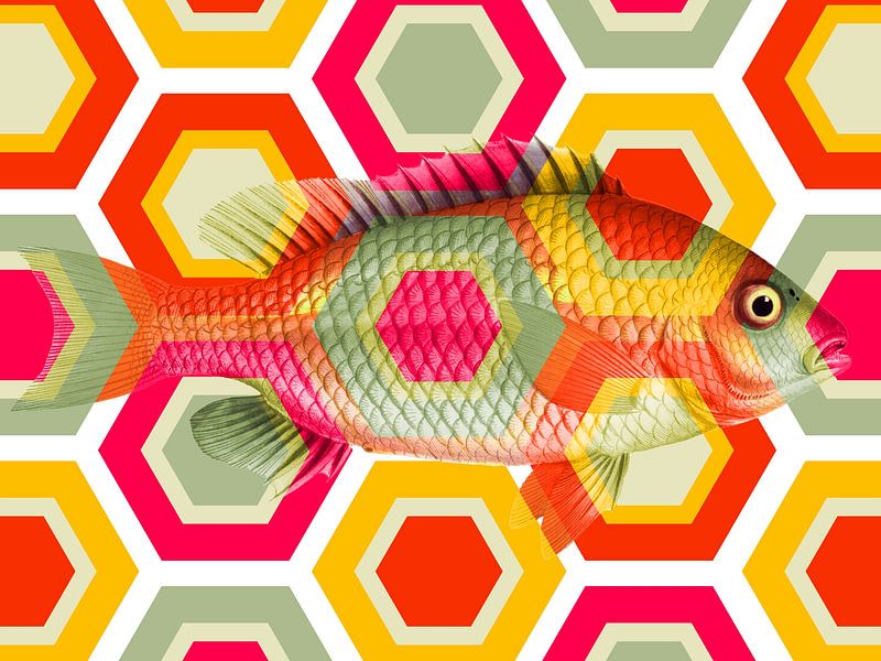 Retro Camouflaged par Marja van den Hurk