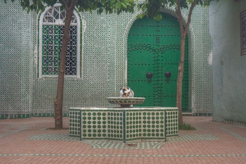 Have a drink by BL Photography