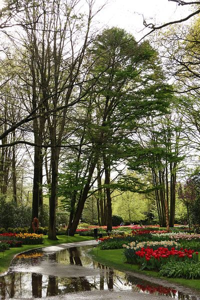 Schönes Niederländisch von Daniëlle Eibrink Jansen