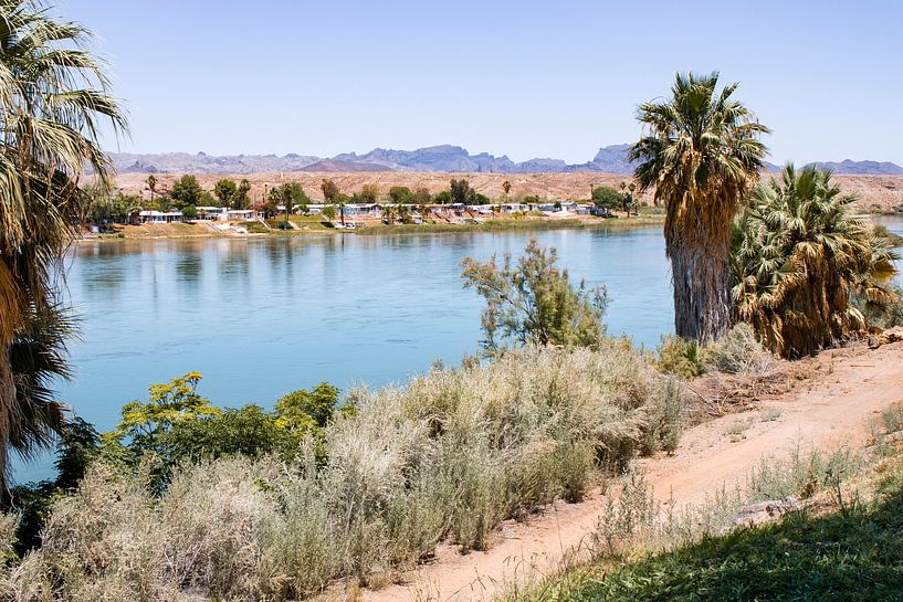 Gila River Arizona USA Ufer mit Palmen von Marianne van der Zee