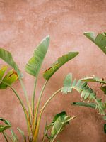 Details van Marrakech (gezien bij vtwonen)